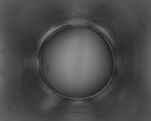 X0000090861462200708030937