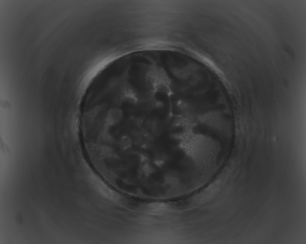 X0000090861463200708030937