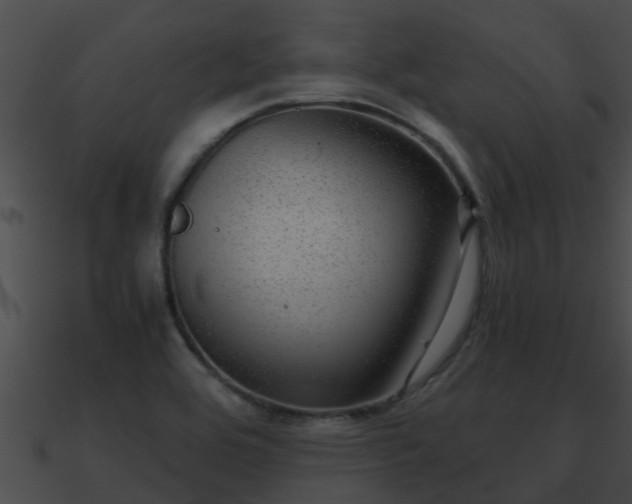X0000090861464200708030937