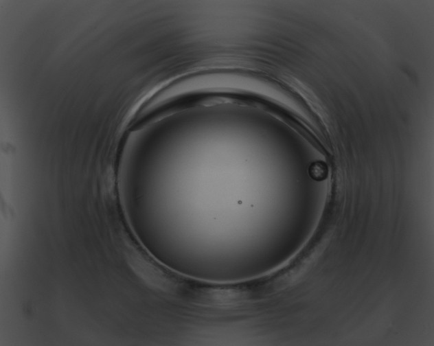 X0000090861465200708030937
