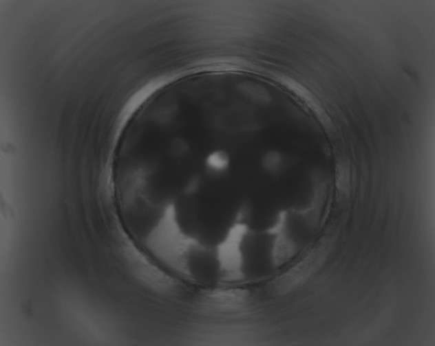 X0000090861466200708030937