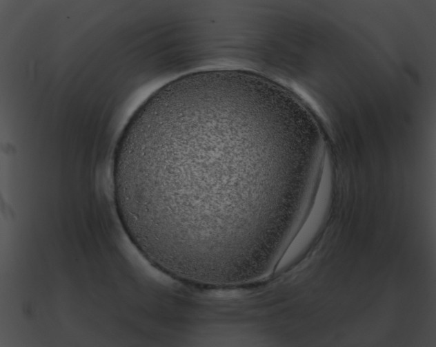 X0000090861468200708030937