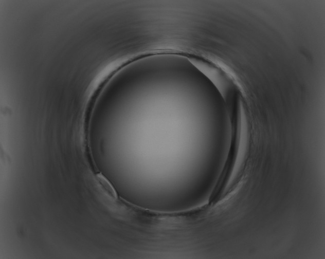 X0000090861469200708030937
