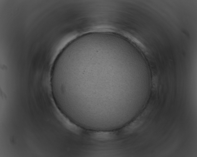X0000090861470200708030937