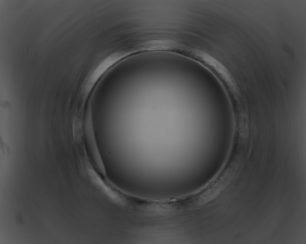 X0000090861473200708030937