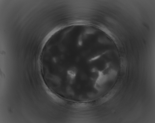 X0000090861474200708030937
