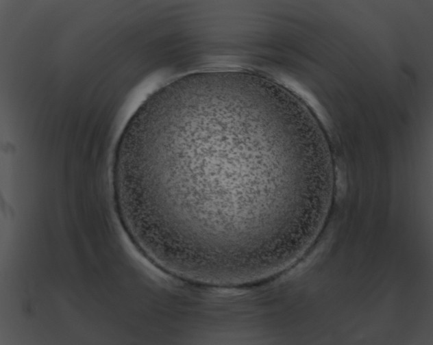 X0000090861475200708030937