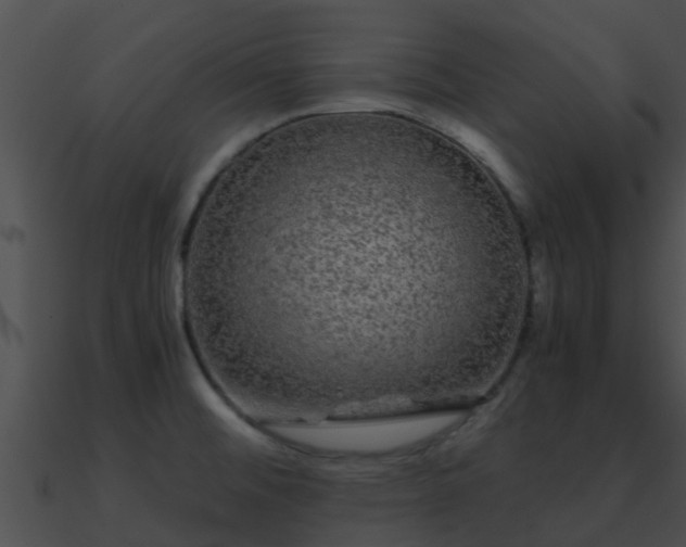 X0000090861476200708030937