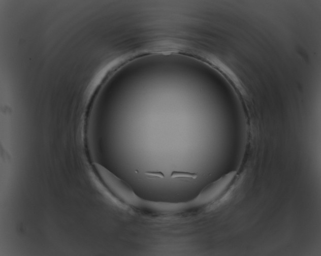 X0000090861477200708030937