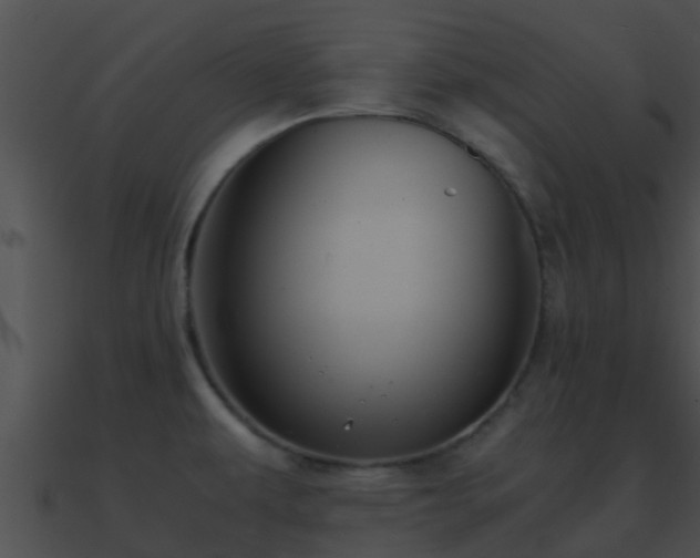 X0000090861479200708030937