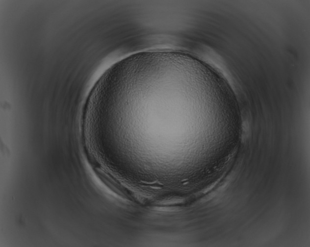 X0000090861483200708030937