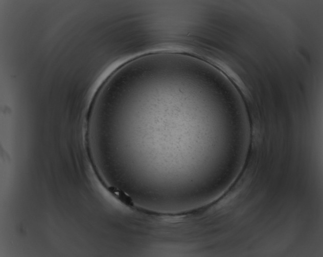 X0000090861484200708030937