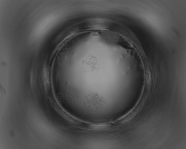 X0000090861487200708030937