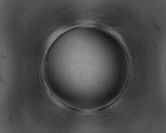 X0000090861488200708030937