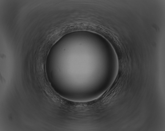 X0000090861489200708030936