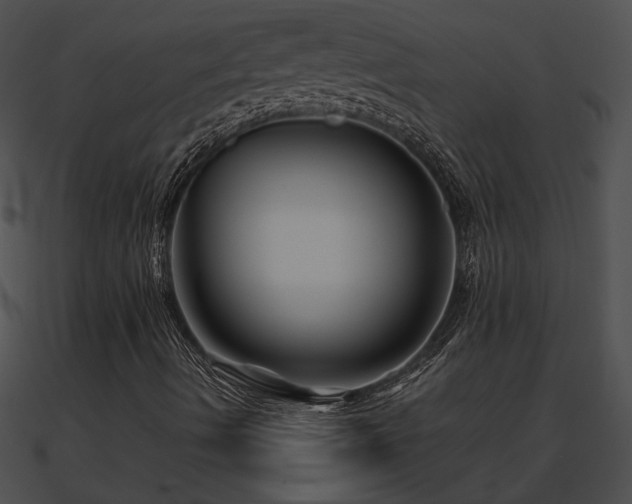 X0000090861490200708030936