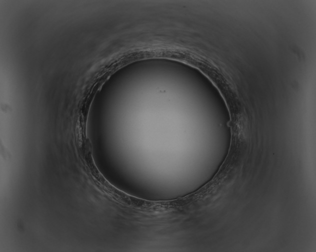 X0000090861493200708030936