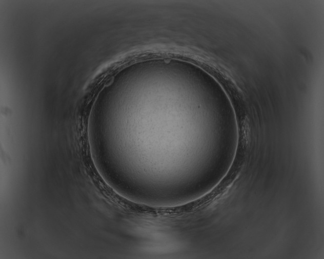 X0000090861494200708030936