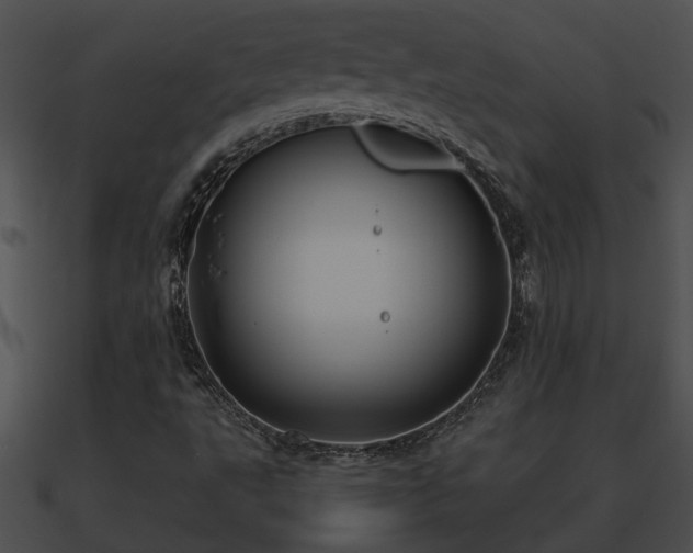 X0000090861495200708030936