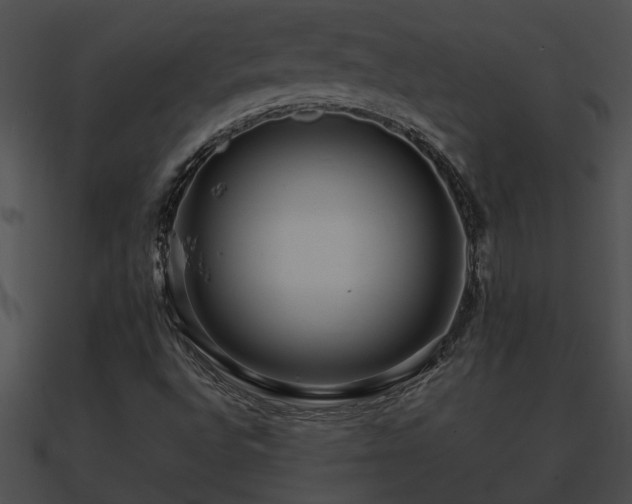 X0000090861496200708030936
