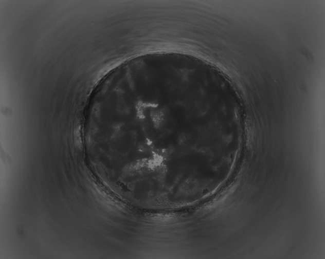 X0000090861497200708030936