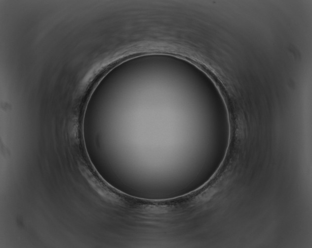 X0000090861499200708030936