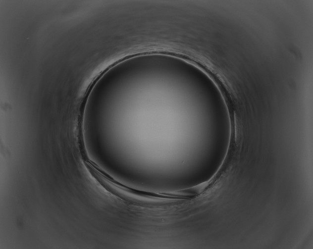 X0000090861500200708030936
