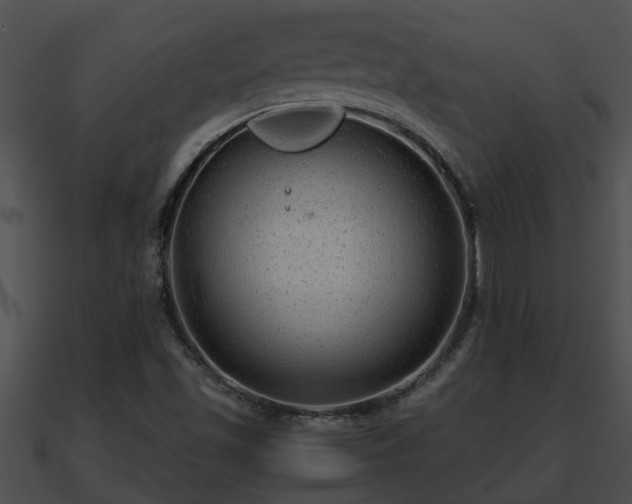 X0000090861501200708030936