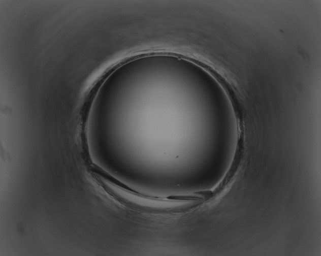 X0000090861502200708030936