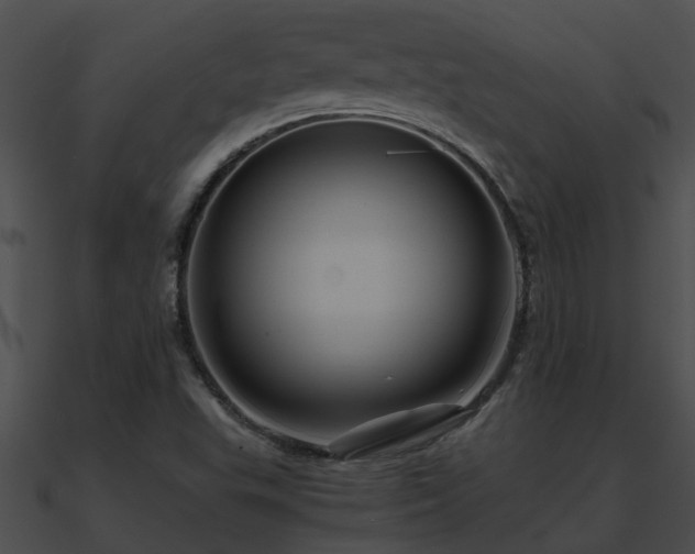 X0000090861503200708030936