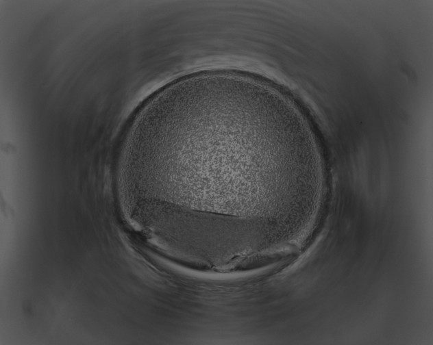 X0000090861505200708030936