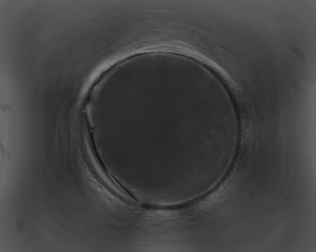 X0000090861506200708030936