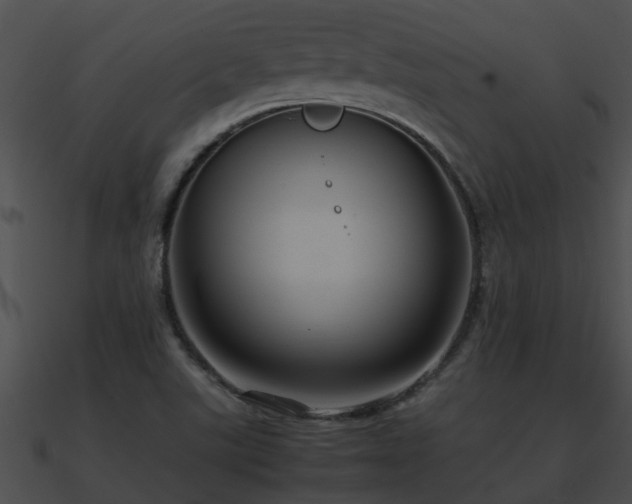 X0000090861507200708030936