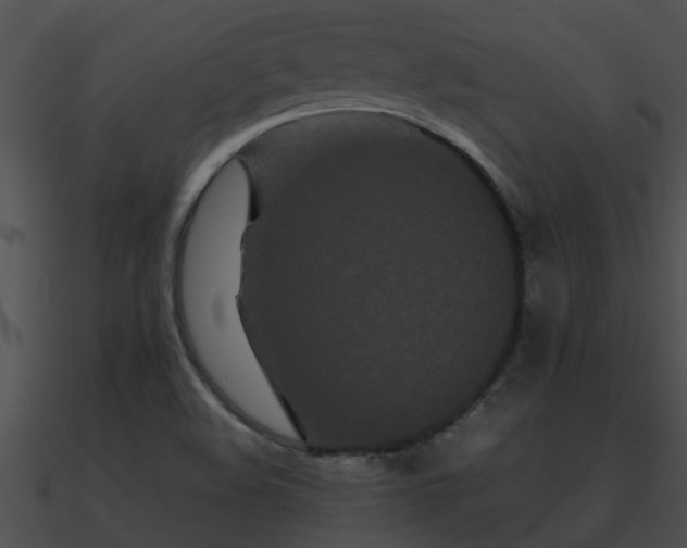 X0000090861508200708030936