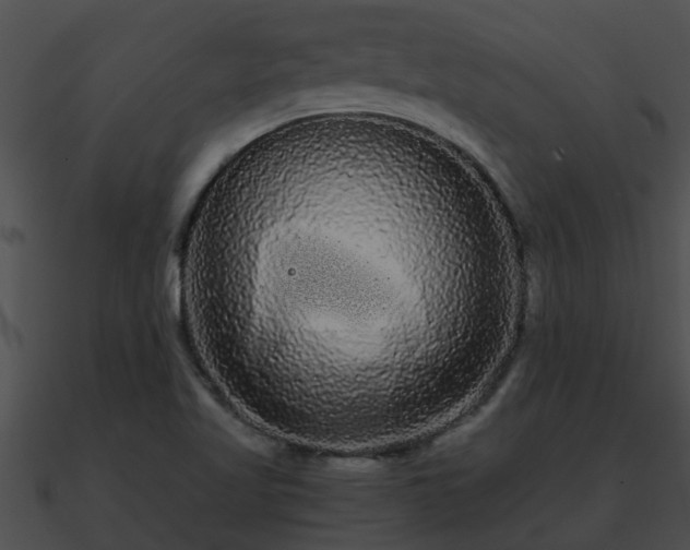 X0000090861509200708030936