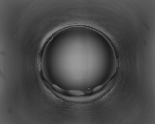 X0000090861510200708030936