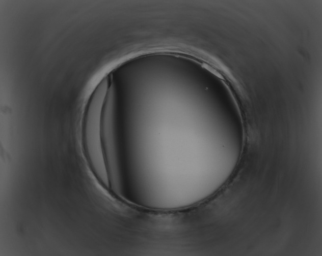 X0000090861512200708030936