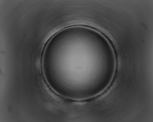 X0000090861513200708030936