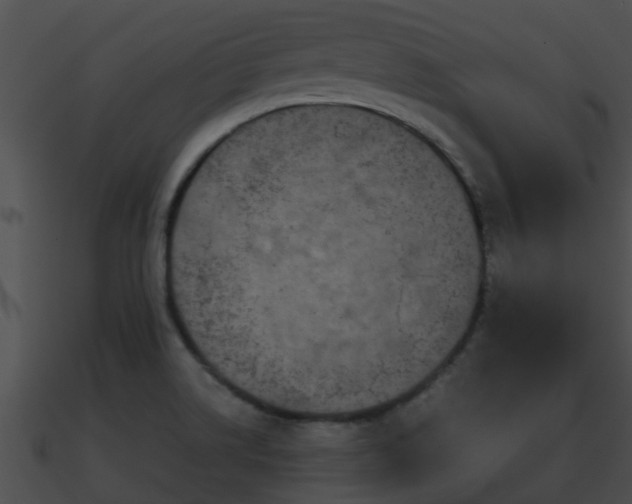 X0000090861514200708030936