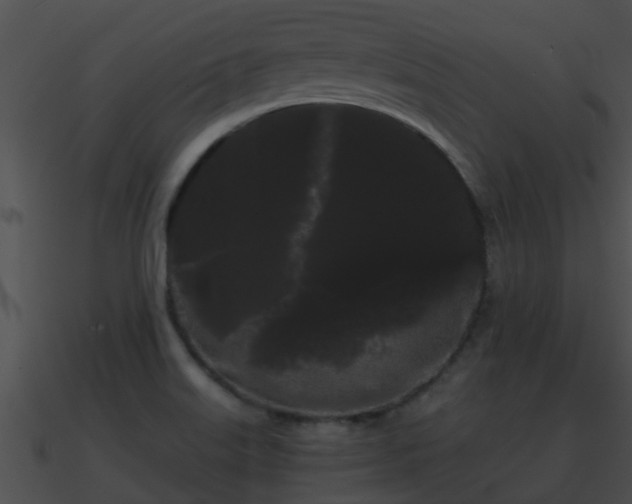 X0000090861515200708030936