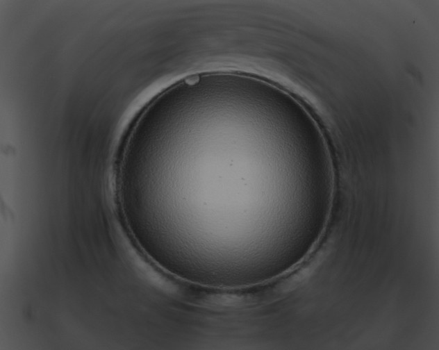 X0000090861517200708030936