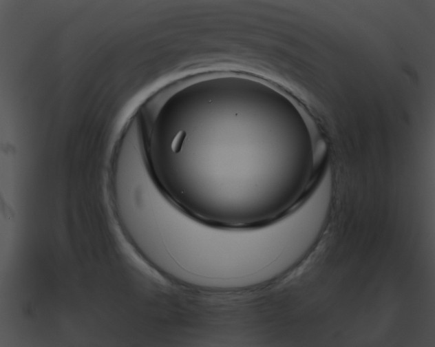 X0000090861518200708030936
