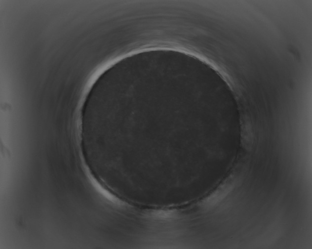 X0000090861519200708030936