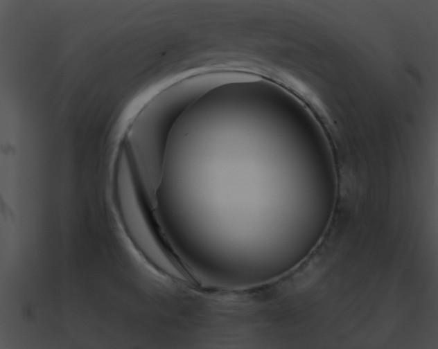 X0000090861520200708030936