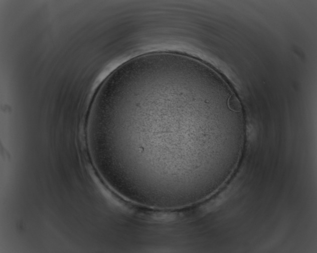 X0000090861521200708030936