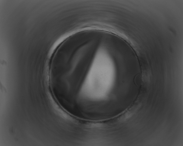 X0000090861522200708030936