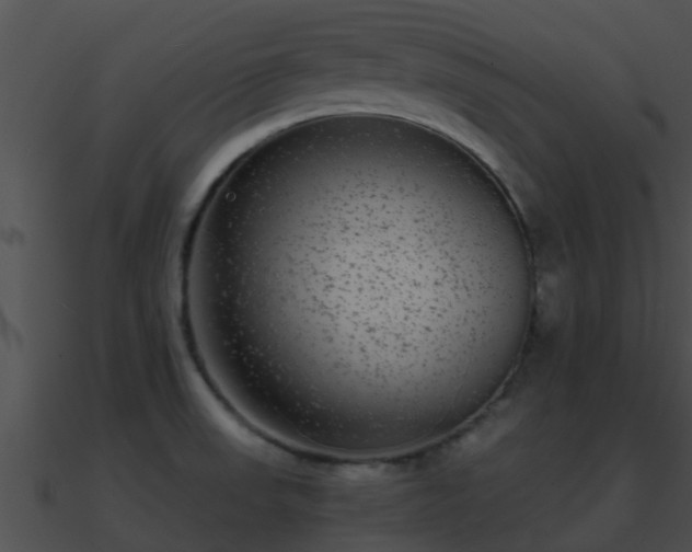 X0000090861523200708030936