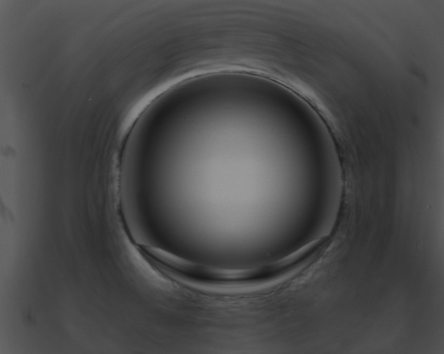 X0000090861524200708030936