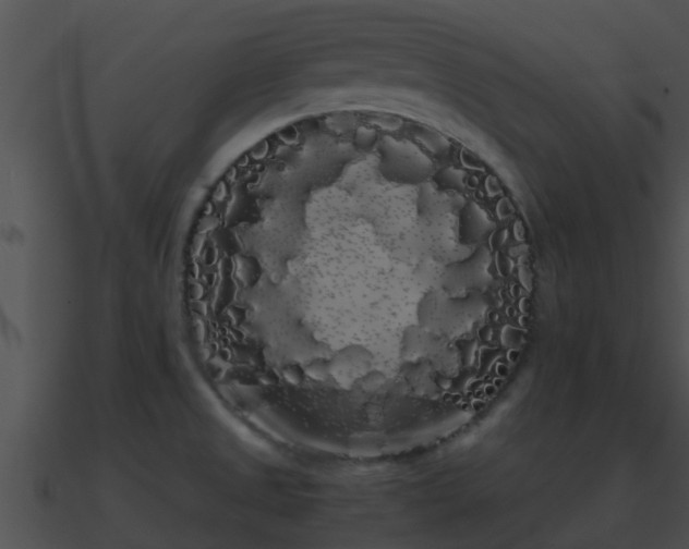 X0000090861525200708030936