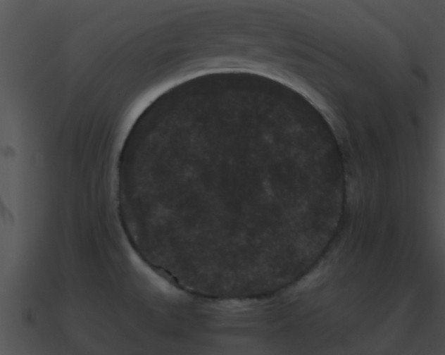 X0000090861527200708030936